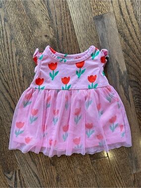 Hanna Andersson Pink Tulip Tulle Dress 0–3M